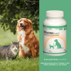 ReboTabs COLOSTROGuard Für Hunde & Katzen -Vetena Geschäft rebotabs colostroguard4