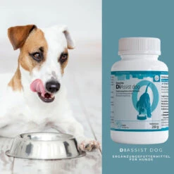 ReboTabs DiAssist Dog Für Hunde -Vetena Geschäft rebotabs diassist dog4