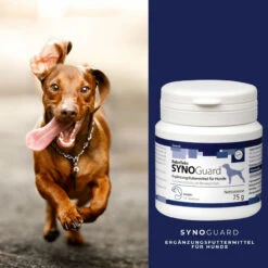 ReboTabs SYNOGuard Für Hunde -Vetena Geschäft rebotabs synoguard hund4