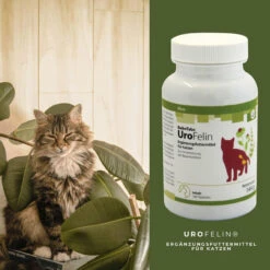 ReboTabs UroFelin Für Katzen -Vetena Geschäft rebotabs urofelin katze4