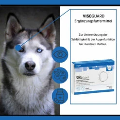 ReboTabs VISOGuard Für Hunde & Katzen -Vetena Geschäft rebotabs visoguard hund katze3