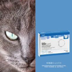 ReboTabs VISOGuard Für Hunde & Katzen -Vetena Geschäft rebotabs visoguard hund katze4