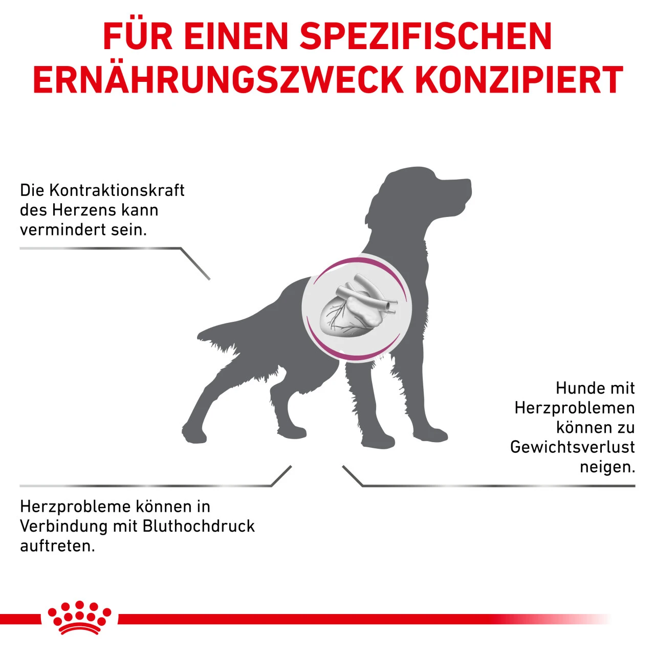 Royal Canin Cardiac Trockenfutter Für Hunde 7 Royal Canin Cardiac Trockenfutter Für Hunde – Bild 5