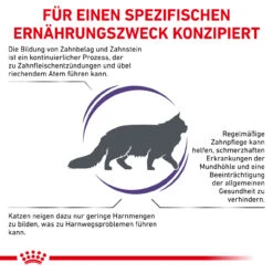 Royal Canin Expert Dental Trockenfutter Für Katzen -Vetena Geschäft royal canin dental katze3
