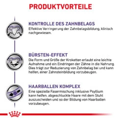 Royal Canin Expert Dental Trockenfutter Für Katzen -Vetena Geschäft royal canin dental katze5