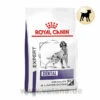 Royal Canin Expert Dental Medium & Large Dogs Trockenfutter Für Hunde -Vetena Geschäft royal canin dental medim large dogs