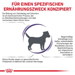 Royal Canin Expert Dental Small Dogs Trockenfutter Für Hunde -Vetena Geschäft royal canin dental small dogs3