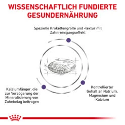 Royal Canin Expert Dental Small Dogs Trockenfutter Für Hunde -Vetena Geschäft royal canin dental small dogs4