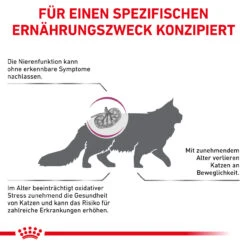 Royal Canin Early Renal Trockenfutter Für Katzen -Vetena Geschäft royal canin early renal trocken katze5