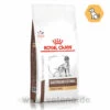 Royal Canin Gastrointestinal High Fibre Trockenfutter Für Hunde -Vetena Geschäft royal canin gastro intestinal high fibre hund