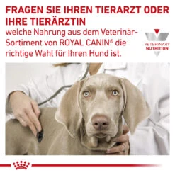 Royal Canin Gastrointestinal High Fibre Trockenfutter Für Hunde -Vetena Geschäft royal canin gastro intestinal high fibre hund9