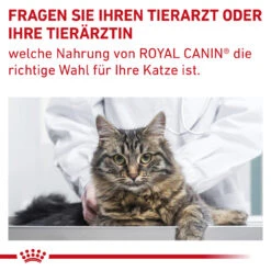 Royal Canin Gastrointestinal Fibre Response Trockenfutter Für Katzen -Vetena Geschäft royal canin gastrointestinal fibre response katze10
