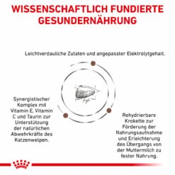 Royal Canin Gastrointestinal Kitten Trockenfutter Für Katzen -Vetena Geschäft royal canin gastrointestinal kitten trocken4