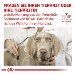 Royal Canin Gastrointestinal Low Fat Small Dogs Trockenfutter Für Hunde -Vetena Geschäft royal canin gastrointestinal low fat small dogs trockenfutter hund9