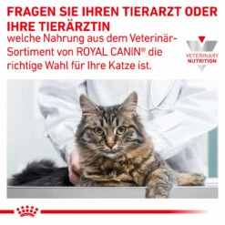 Royal Canin Gastrointestinal Moderate Calorie Trockenfutter Für Katzen -Vetena Geschäft royal canin gastrointestinal moderate calorie trocken katze10