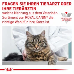 Royal Canin Gastrointestinal Trockenfutter Für Katzen -Vetena Geschäft royal canin gastrointestinal trocken katze9