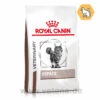 Royal Canin Hepatic Trockenfutter Für Katzen -Vetena Geschäft royal canin hepatic katze