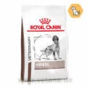 Royal Canin Hepatic Trockenfutter Für Hunde -Vetena Geschäft royal canin hepatic trocken hund