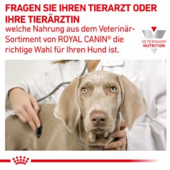 Royal Canin Hepatic Trockenfutter Für Hunde -Vetena Geschäft royal canin hepatic trocken hund8