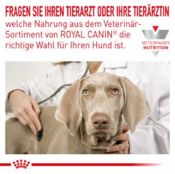 Royal Canin Hypoallergenic Trockenfutter Für Hunde 11 Royal Canin Hypoallergenic Trockenfutter Für Hunde -Vetena Geschäft royal canin hypoallergenic trocken hund2