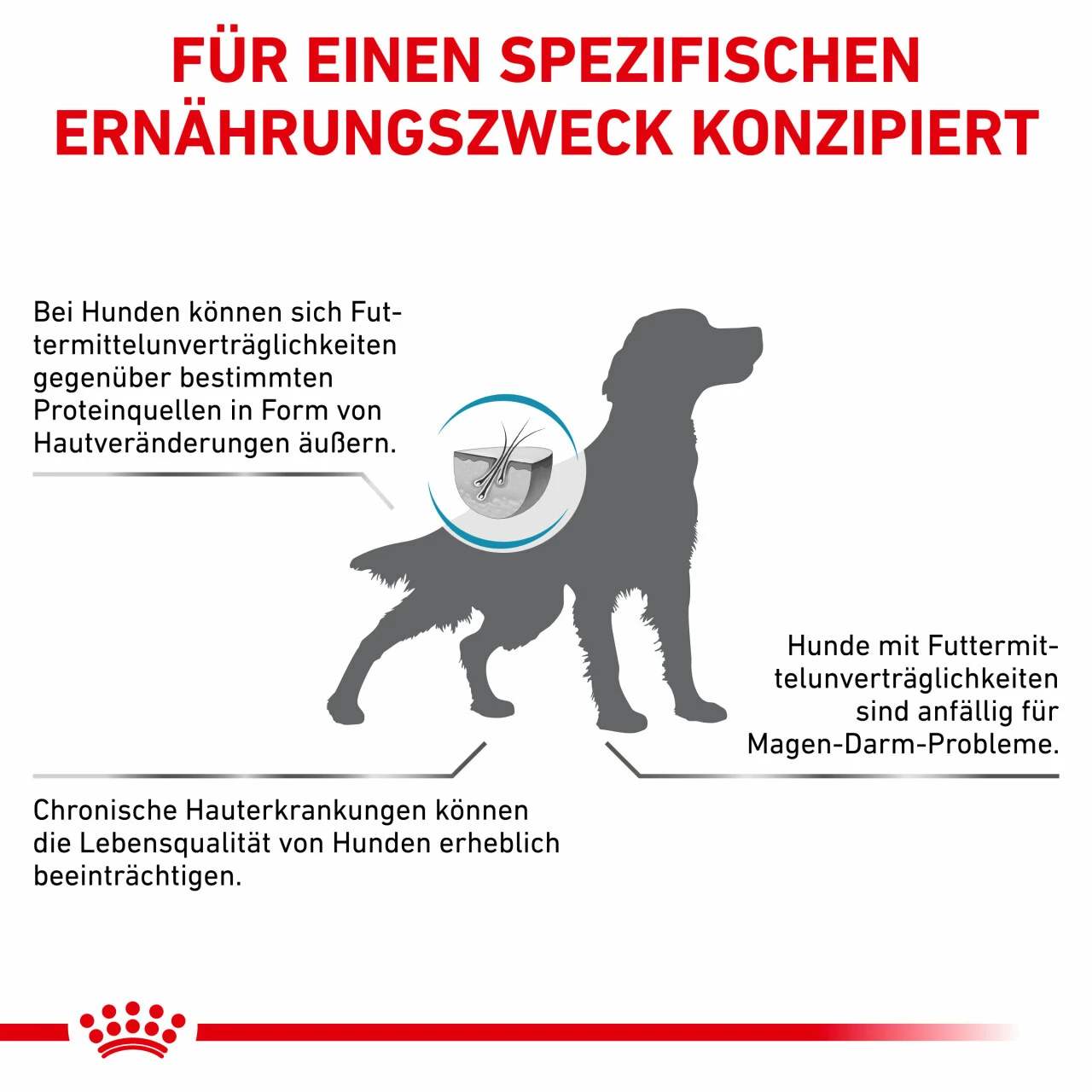 Royal Canin Hypoallergenic Trockenfutter Für Hunde 10 Royal Canin Hypoallergenic Trockenfutter Für Hunde – Bild 8