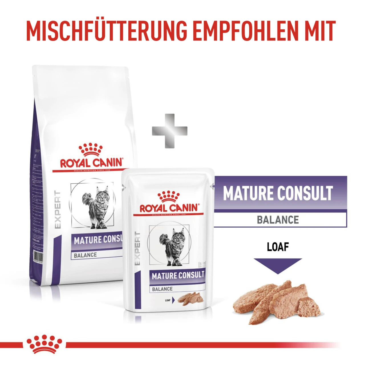 Royal Canin Expert Mature Consult Balance Trockenfutter Für Katzen 11 Royal Canin Expert Mature Consult Balance Trockenfutter Für Katzen – Bild 9