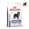 Royal Canin Expert Mature Consult Large Dogs Trockenfutter Für Hunde -Vetena Geschäft royal canin mature consult large dogs hund