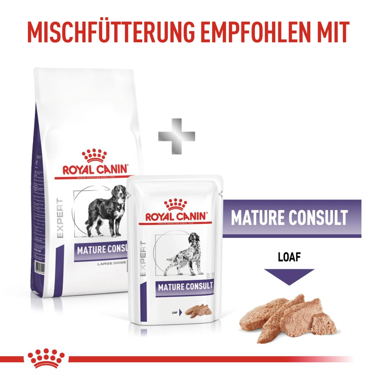 Royal Canin Expert Mature Consult Large Dogs Trockenfutter Für Hunde 9 Royal Canin Expert Mature Consult Large Dogs Trockenfutter Für Hunde – Bild 7