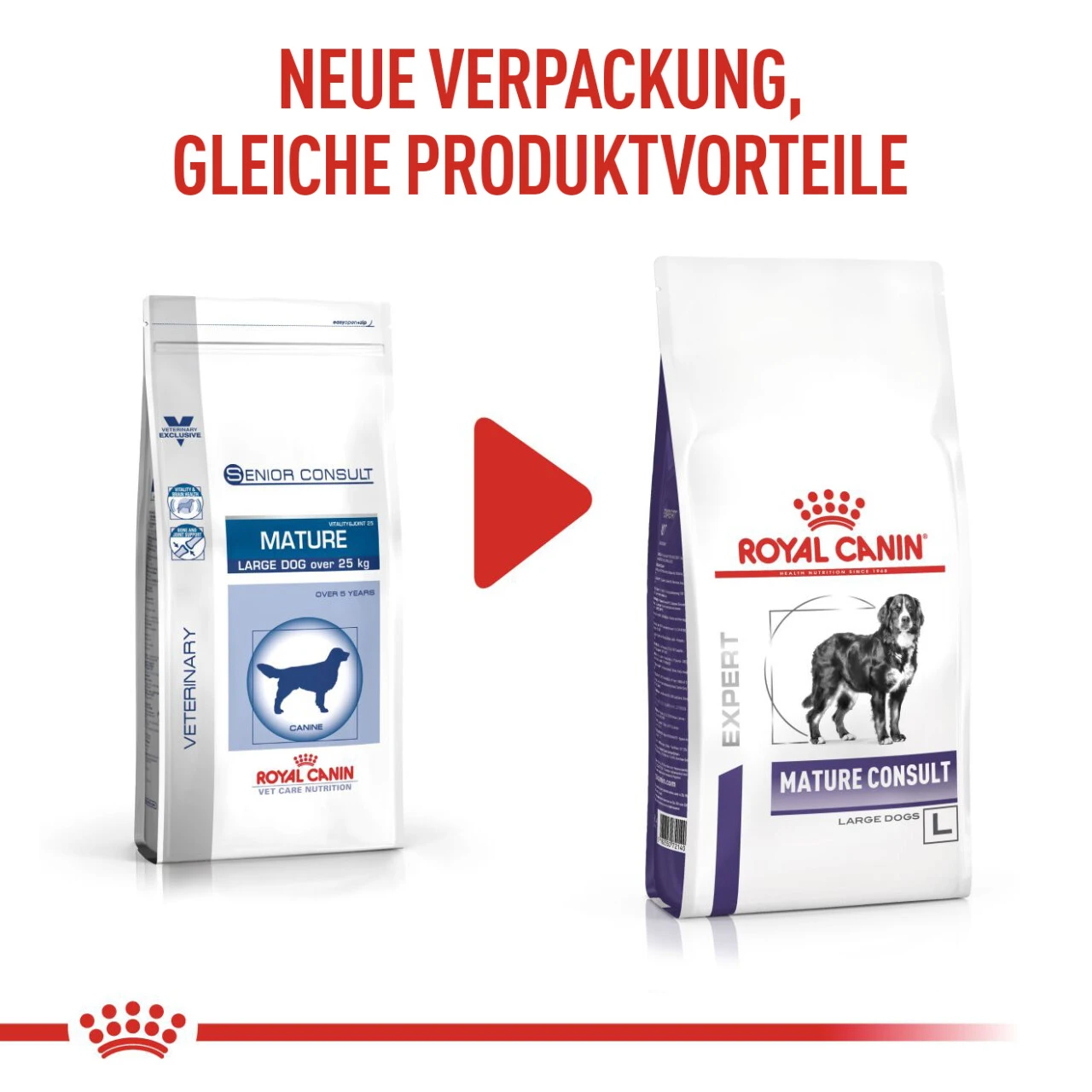 Royal Canin Expert Mature Consult Large Dogs Trockenfutter Für Hunde 11 Royal Canin Expert Mature Consult Large Dogs Trockenfutter Für Hunde – Bild 9