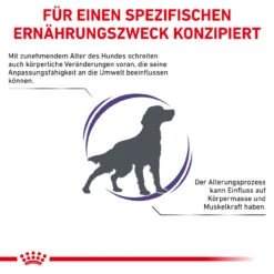 Royal Canin Expert Mature Consult Medium Dogs Trockenfutter Für Hunde -Vetena Geschäft royal canin mature consult medium dogs hund3