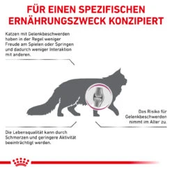 Royal Canin Mobility Trockenfutter Für Katzen -Vetena Geschäft royal canin mobility katze5