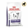 Royal Canin Expert Neutered Adult Small Dogs Trockenfutter Für Hunde -Vetena Geschäft royal canin neutered adult small dogs hund