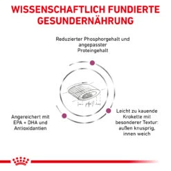 Royal Canin Renal Select Trockenfutter Katze -Vetena Geschäft royal canin renal select katze6