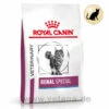 Royal Canin Renal Special Trockenfutter Für Katzen -Vetena Geschäft royal canin renal special katze