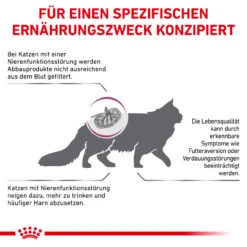 Royal Canin Renal Special Trockenfutter Für Katzen -Vetena Geschäft royal canin renal special katze5
