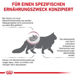 Royal Canin Renal Trockenfutter Für Katzen -Vetena Geschäft royal canin renal trocken katze5