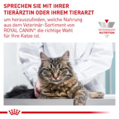 Royal Canin Renal Trockenfutter Für Katzen -Vetena Geschäft royal canin renal trocken katze8