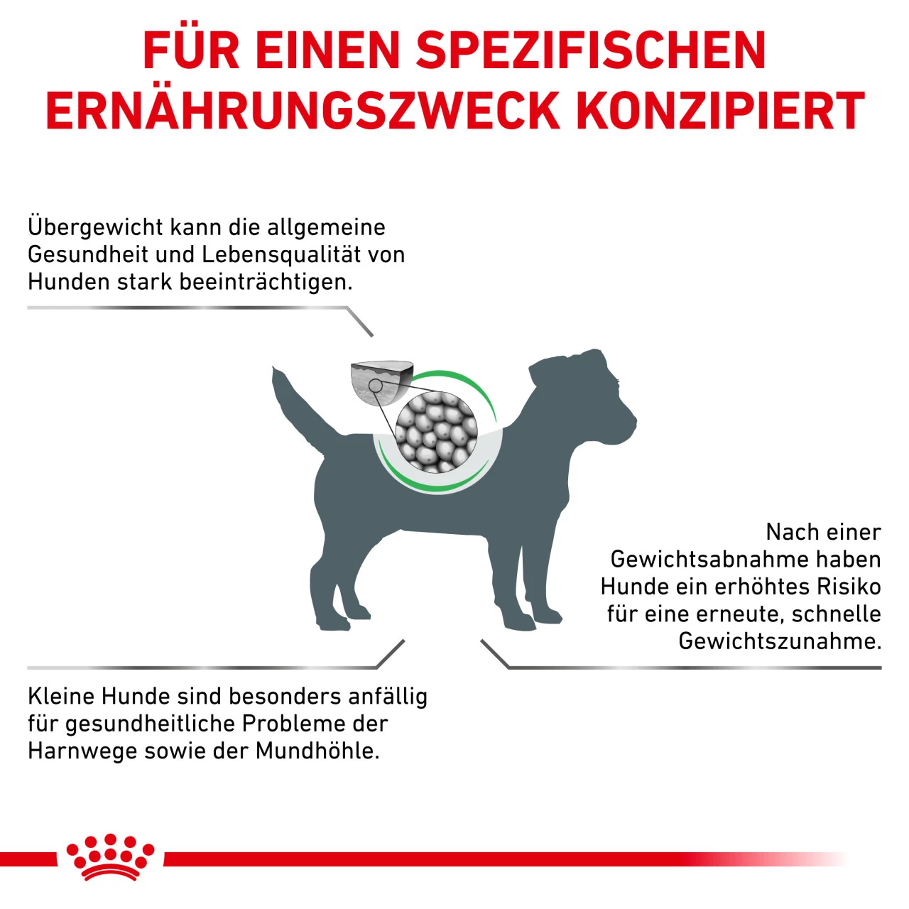Royal Canin Satiety Weight Management Small Dogs Trockenfutter Für Hunde 6 Royal Canin Satiety Weight Management Small Dogs Trockenfutter Für Hunde – Bild 4