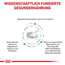 Royal Canin Satiety Weight Management Small Dogs Trockenfutter Für Hunde 15 Royal Canin Satiety Weight Management Small Dogs Trockenfutter Für Hunde -Vetena Geschäft royal canin satiety small dogs hund5