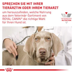 Royal Canin Satiety Weight Management Trockenfutter Für Hunde -Vetena Geschäft royal canin satiety weight management trocken hund7