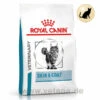 Royal Canin Skin & Coat Trockenfutter Für Katzen -Vetena Geschäft royal canin skin coat trocken katze