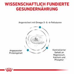 Royal Canin Skin & Coat Trockenfutter Für Katzen -Vetena Geschäft royal canin skin coat trocken katze3