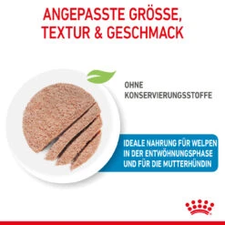 Royal Canin Starter Mousse Mother & Babydog Nassfutter Für Hunde -Vetena Geschäft royal canin starter mousse mother babydog hund4