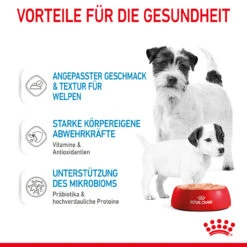 Royal Canin Starter Mousse Mother & Babydog Nassfutter Für Hunde -Vetena Geschäft royal canin starter mousse mother babydog hund5