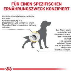 Royal Canin Urinary S/O Ageing 7+ Trockenfutter Für Hunde 15 Royal Canin Urinary S/O Ageing 7+ Trockenfutter Für Hunde -Vetena Geschäft royal canin urinary s o ageing 7 trocken hund5