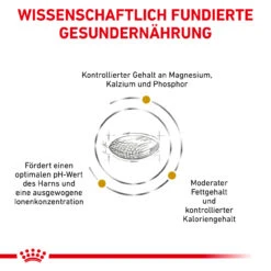 Royal Canin Urinary S/O Moderate Calorie Trockenfutter Für Hunde -Vetena Geschäft royal canin urinary s o moderate calorie trocken hund4