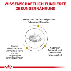 Royal Canin Urinary S/O Moderate Calorie Trockenfutter Für Katzen -Vetena Geschäft royal canin urinary s o moderate calorie trocken katze5