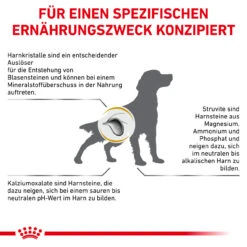Royal Canin Urinary S/O Trockenfutter Für Hunde -Vetena Geschäft royal canin urinary s o trocken hund6