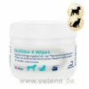 DECHRA TrizChlor 4 Wipes -Vetena Geschäft trizchlor 4 wipes hund katze