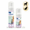 Virbac Allerderm Schaum 2 Virbac Allerderm Schaum -Vetena Geschäft virbac allerderm schaum hund katze